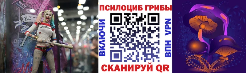 наркотики  Верхотурье  Галлюциногенные грибы MAGIC MUSHROOMS 